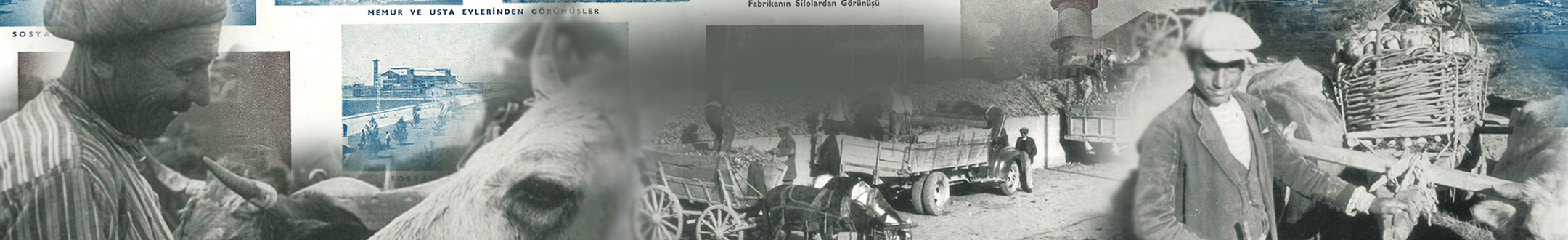 Tarihçemiz